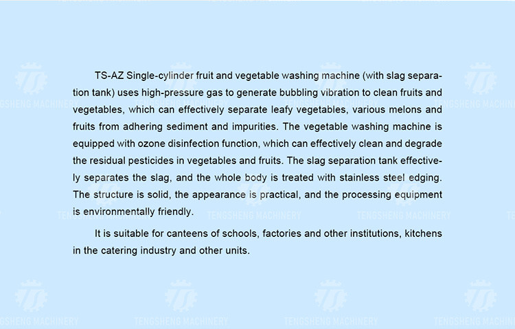 85KG Small fruit and vegetable processing equipment stainless steel single cylinder cleaning machine