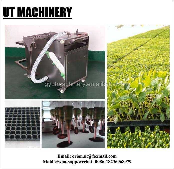 7 Rows Vegetable Tray Seeding Machine for Good Economic Benefits and Easy Operation