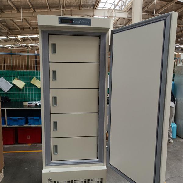 Stable Temperature -25 Degree Medical Deep Freezer for Vaccine RNA DNA Storage
