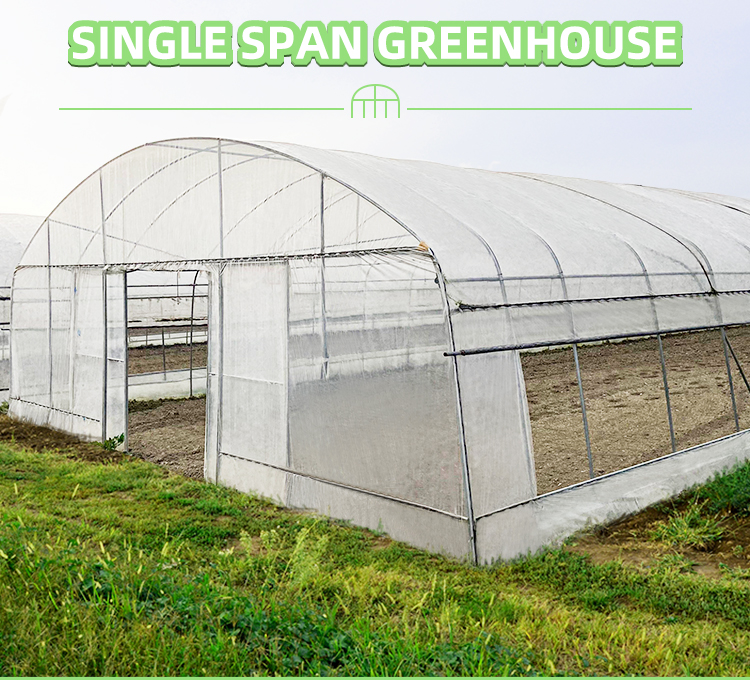High-Performance PE Film Tunnel Greenhouse for Agricultural Projects