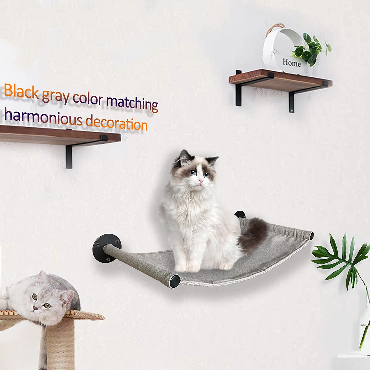 Cat Wall Shelves Furniture Bracket for Climb and Scratching Standard Size Brushing Rack