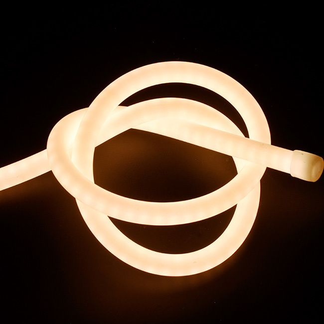 Addressable Circular 360° Neon Led Light For Festival Merchandising Item Type Neon Lights