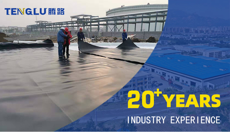 Chinese Geomembrane Impermeable Fish Pond Shrimp Pond Cistern Waterproof Membrane