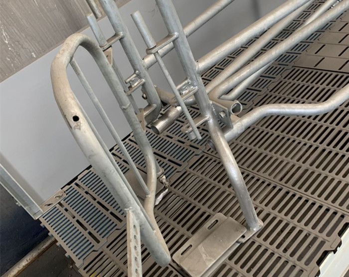 Curved Edge Design Pig Farrowing Crate Hog Equipment OEM / ODM Available