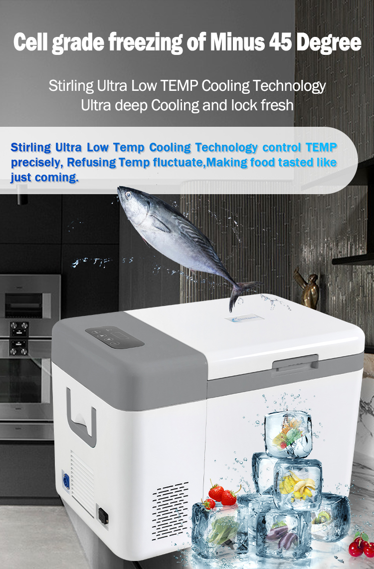 Car 25L 12V/24V Deep Cold Storage Portable Refrigerator -45C Ultra Low Temperature