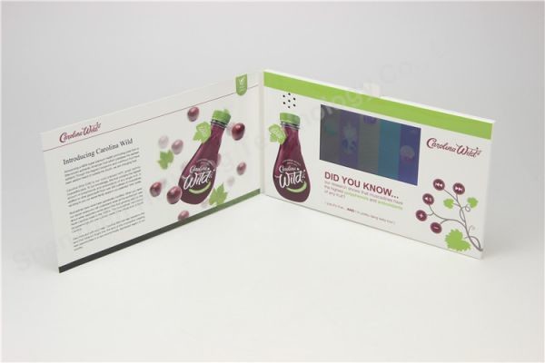 10.1 inch promo video brochures for event invitation, lcd video brochure&video mailer manufacture