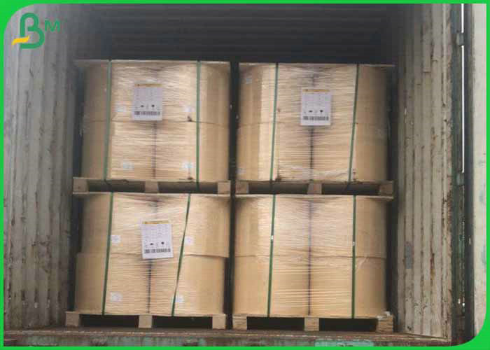 Fully Safe & Clean 70*100cm 160gsm +12g PE Cup Paper Roll For Coffee Cup