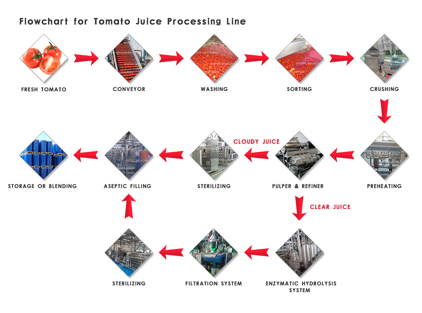 SS304 200T/D Aseptic Filling Tomato Production Line