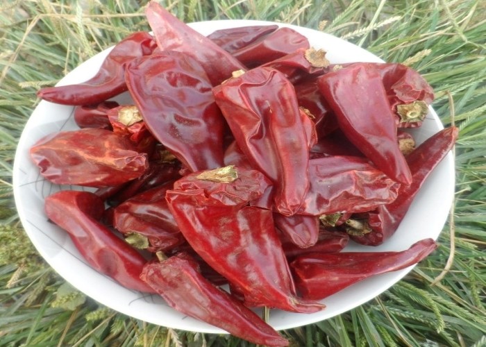 Discover the Delicious Taste of Spicy Mild Dried Red Chilies