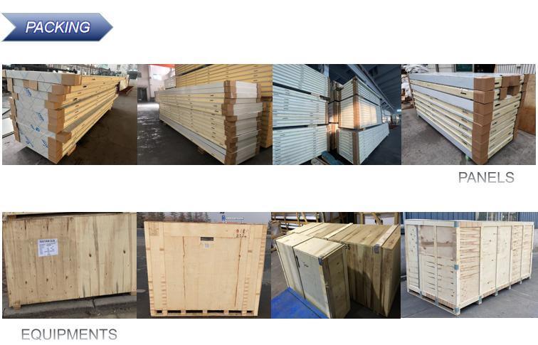 Freezer Room/Cool Room/Cold Storage Room Meat Storage Freezer Cold Room