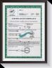 Shanghai Gofun Machinery Co., Ltd. Certifications