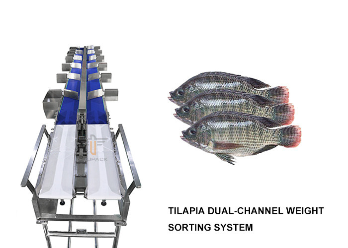 Waterproof 12 Grades Multihweight Sorter Machine For Fresh Food Fish / Sausage / Yolk
