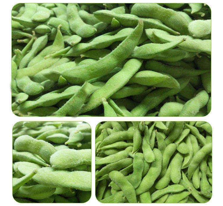 Japanese Style Peeled Frozen Edamame Beans Frozen Soybeans