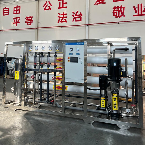6-Ton Dual Stage Pure Water Equipment High-Efficiency Water Treatment Solution For Industrial