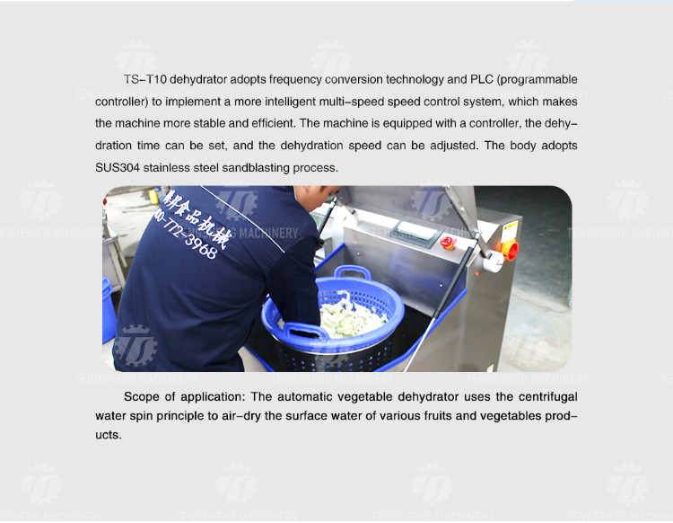 2KW Leaf Vegetable Processing Machine Fruit Dehydrator Machine