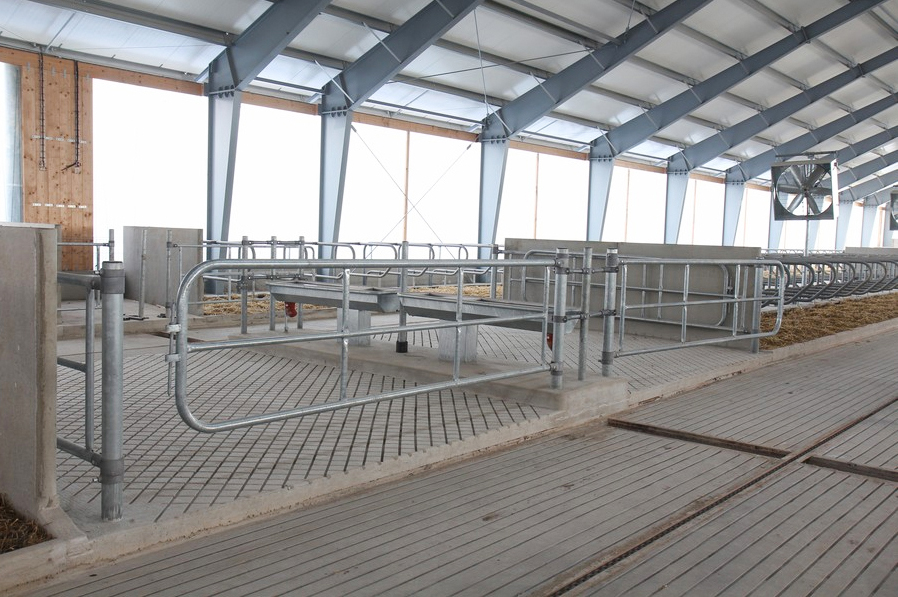 Q235/Q345 Horse Barn Style Metal Buildings Prefab Metal Horse Barn OEM ODM