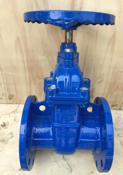 Metal Seat DN50 Ductile Cast Iron Steel Pn16 Manual Operation Gate Valve for Gas Media
