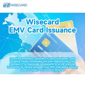 Security EMV Card Personalization Software With Advanced Encryption Technology