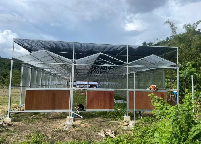 5x4 4x6 4x4 4x2 Polycarbonate Greenhouse Commercial With Tomato Growing System Large Hydroponic