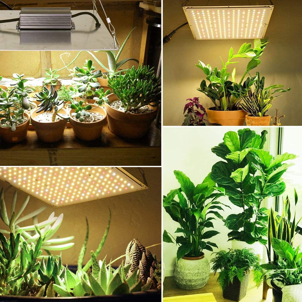 Indoor 120W 2.5umol/J Quantum Led Grow Lights