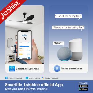 DC Motor Ceiling Fan Light Modern Smart Remote Control Energy Saving