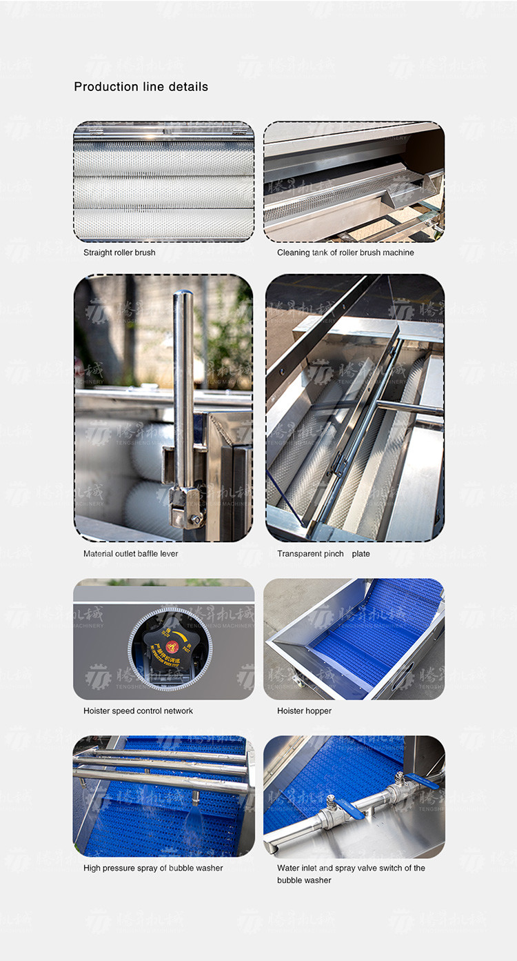 Multifunctional Vegetable And Fruit Processing Line Hair Roller Bubble Cleaning Production Line