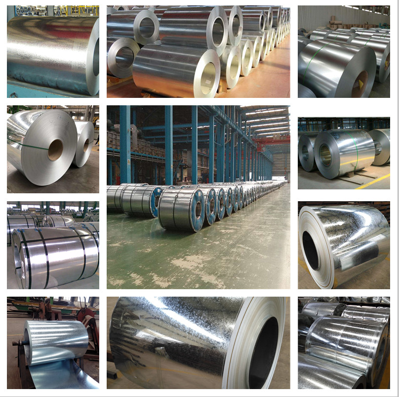 DC53D Galvanized Steel Coil JIS Husbandry Gi Sheet Coil Flat Surface