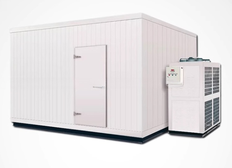 Stainless Steel Inside Wall 40ft x 20ft Dual Temperature Chiller and Freezer Container Cold Room for Storage Reefer Container