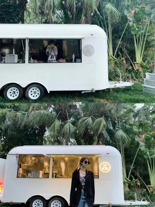 Fully Equipped Concession Street Mobile Food Truck for Multifunctional Fast Food Trailer