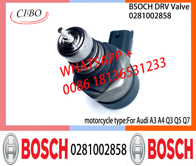 BOSCH DRV Valve 0281002858 Control Valve 0281002858 for Audi A3 A4 Q3 Q5 Q7