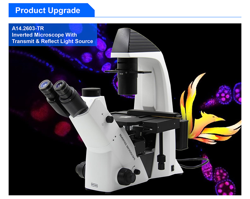 WF10x / 22mm Trinocular Inverted Biological Microscope A14.2603 Large Diameter Quintuple