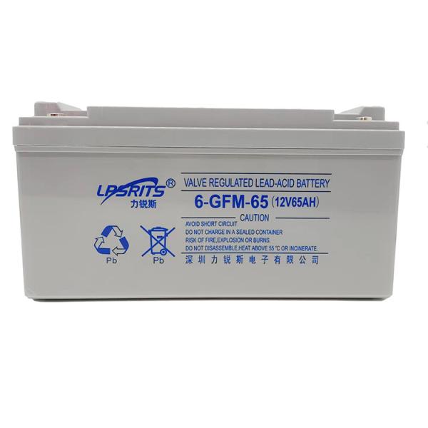 Liruisi VRLA 6-GFM-65 12V 65Ah Sealed Lead Acid Battery For Uninterrupted Power