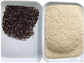4 Chutes Rice Color Sorter With Ccd Toshiba Camera