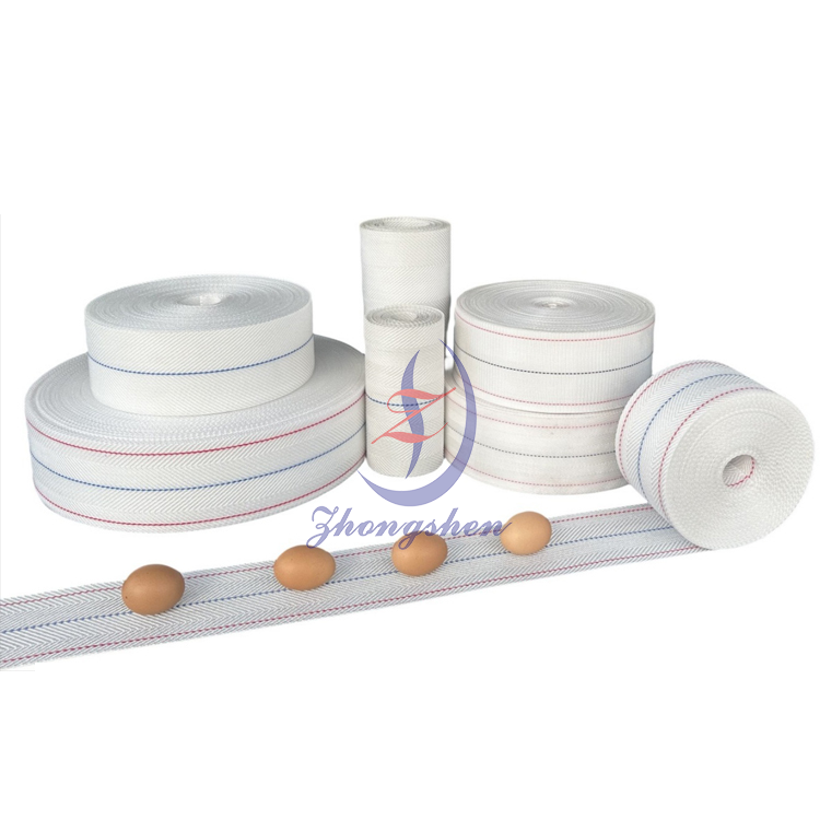 China China Source Manufacturer Egg Conveyor Belt of Egg Collecting System in Chicken House on sale