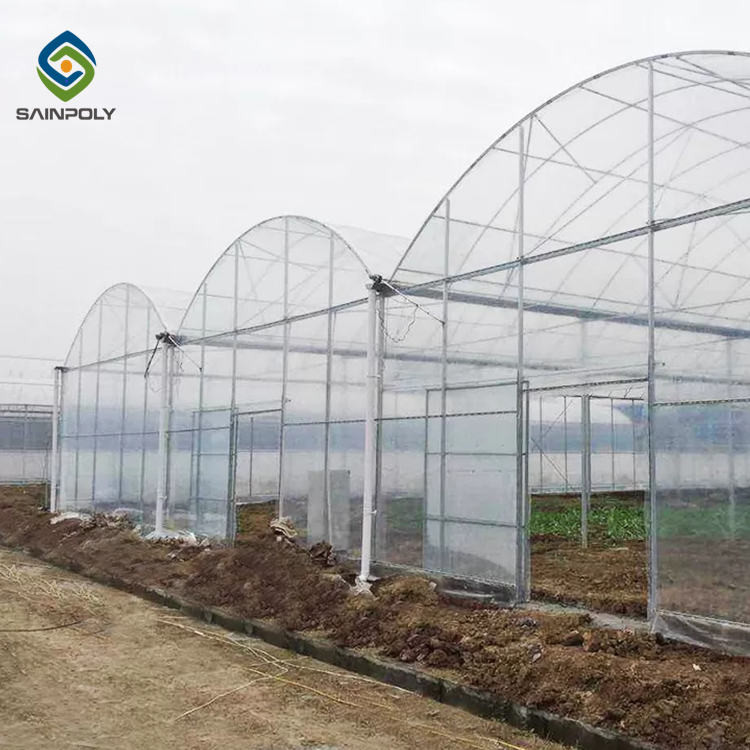 Galvanized Steel Hoop Style Greenhouse Single Span Tunnel Strawberry Greenhouse