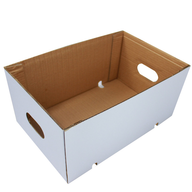 Fruit Shipping Corrugated Paper Packaging Box 4c Print CMYK Or Pantone Colors