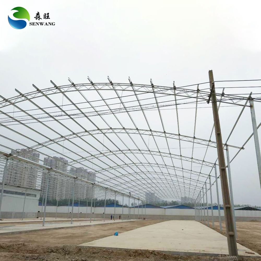 Cheap Safe Durable Steel Structure Warehouse Steel Building Industrial workshop shed big prefab houses steel structure warehouse