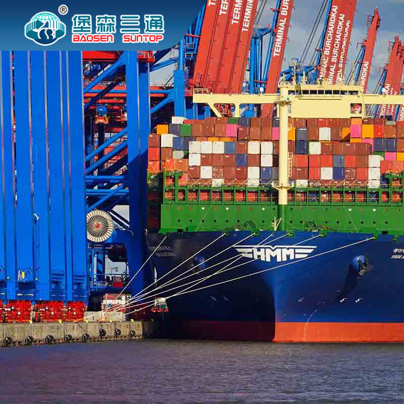 To Mexico International Shipping Freight Forwarder For Cargo Transport FOB EXW DDU