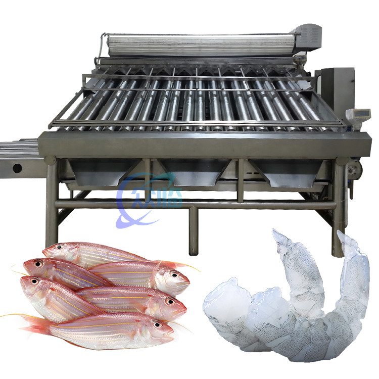 Roller Shrimp Grading Machine Multipurpose Stainless Steel Material