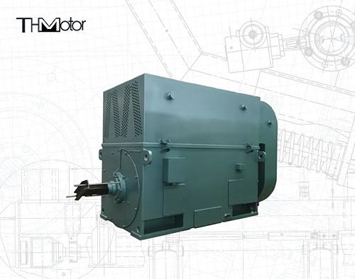 6000v-11000v Voltage High Voltage Electric Motors with Power Range of 400-6000kw