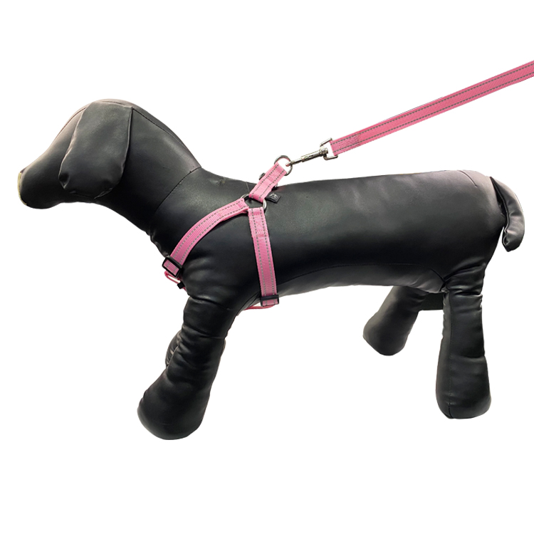 Personalized Buckle Waterproof Dog Leash