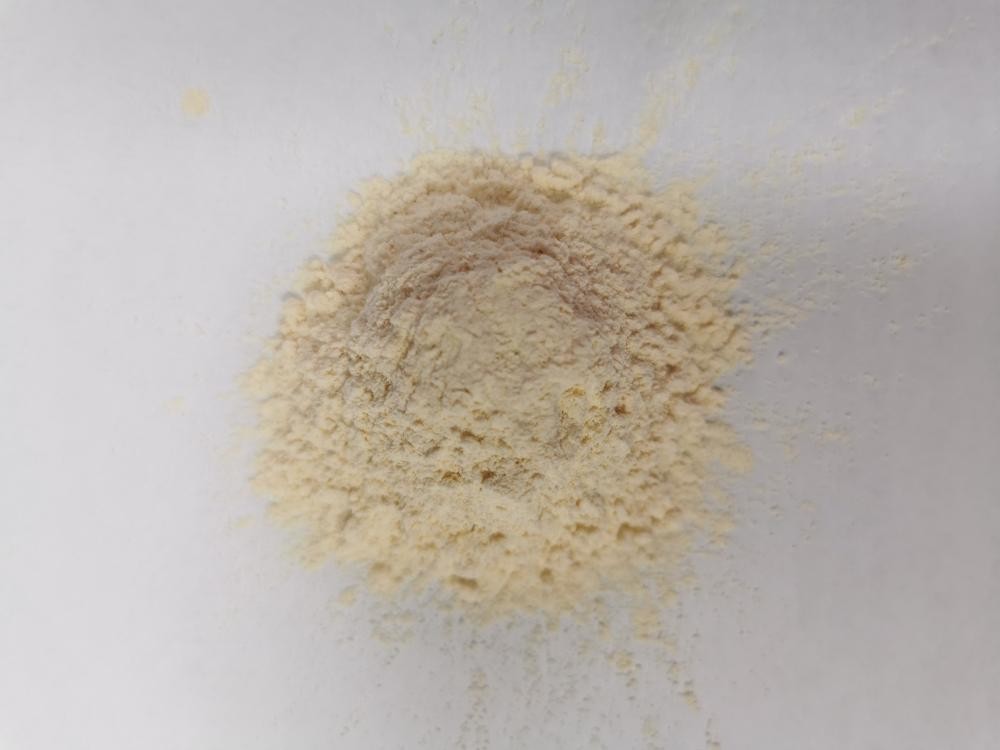 HALAL 80mesh 120mesh Dehydrated Garlic Powder In Low Bac