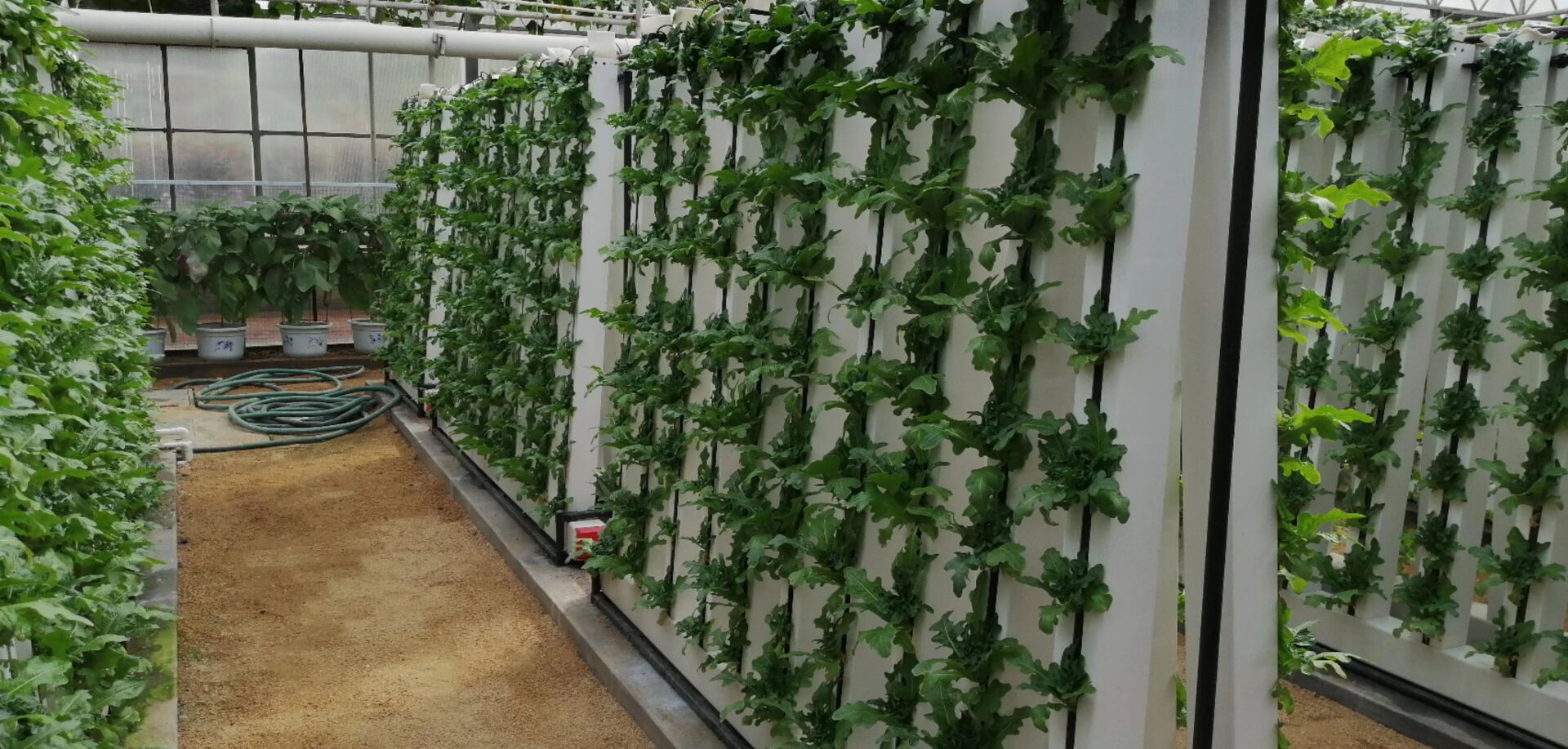 Commercial Hydroponics Nft Strawberry And Flower Vertical Growing System Zipgrow Tower