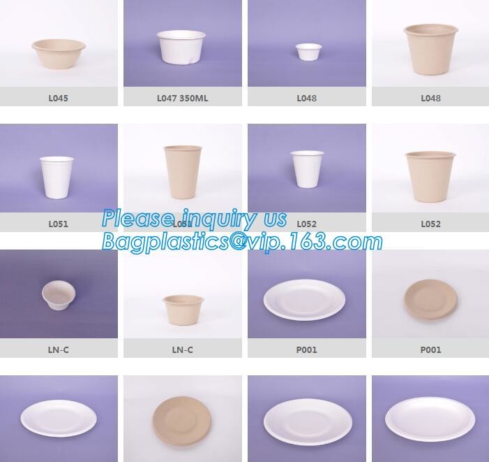 Meal Prep Containers Free Sample Bento Lunch Box Biodegradable Food Container Plastic Wheat Straw Lunch Box bagplastics