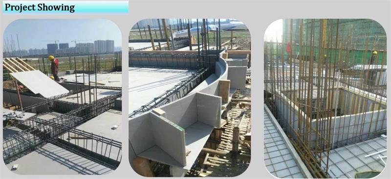 Building Lightweight 1220x2440×12mm Plastic Concrete Wall Forms