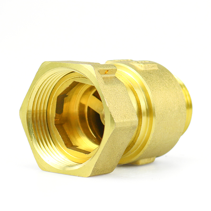 Anti Air Rotation Brass Check Valve Vertical Male Female Check Valve