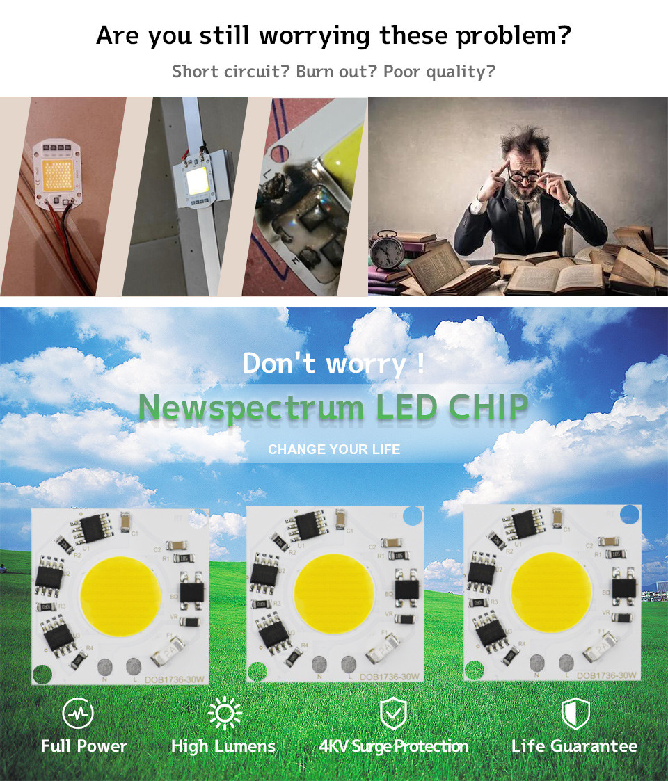 60Hz driverless LED chip
