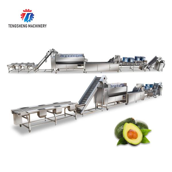 380V Fruit And Vegetable Processing Line Sweet Potato Picking Hair Roller Bubble
