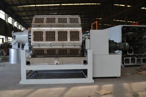 Professional Paper Pulp Molding Equipment Rotary Forming Paper Egg Tray
