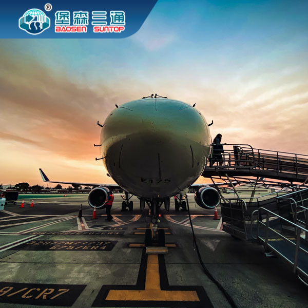 From China To USA / Canada / UK / Europe Ocean Freight Export By Sea / FBA